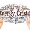 Kebijakan Energi yang Mengguncang Dunia: Krisis Energi Global (Bagian 2)