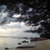 Di Pantai Kelisut || Puisi Dian Chandra