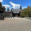 Kastil Ueda, Perpaduan antara Bunga Sakura dan Kisah Samurai