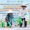 Bank Indonesia Support Pandeglang sebagai Sentra Cabai dan Bawang Merah