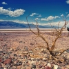Sumur Bor: Solusi Tepat Atasi Kekeringan Akibat El Nino