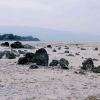 Dampak Surutnya Danau Poso terhadap Keberlanjutan Energi Terbarukan