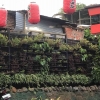 Vertical Garden Si Taman Modern Alternatif Berkebun di Lahan Minimalis