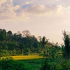 Menilik Green Finance dan Stabilitas Keuangan di Indonesia