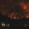 Pelajaran Kebakaran Hutan Kanada: Jangan Serakah pada Alam