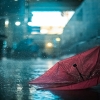 Puisi: Pada Hujan yang Sekejap Singgah