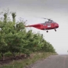Petani Sultan! Sewa Helikopter untuk Menghindari Gagal Panen