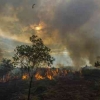 Negeri Awan Buatan Manusia: Kebakaran Hutan dan Lahan yang Jadi Event Tahunan