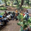 Ada Apa di Taman Margasatwa Ragunan Jakarta Selatan?