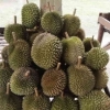 Jadilah  Seperti Buah Durian, Kulitnya Berduri Dalamnya Lembut