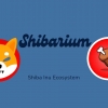 Shiba Inu dan BONE Bangkit Ditengah Shibarium Memasuki Fase Penting