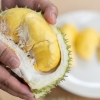 Saat Pacaran Jajan Es Durian, Setelah Menikah Jualan Durian