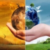 Perubahan Iklim: Menuju Titik Kritis Iklim, Saatnya Aksi Nyata