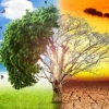 Perubahan Iklim: Ancaman Serius Masa Depan Bumi