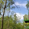 Destinasi Wisata Mangrove yang Populer di Kalangan Masyarakat Kuala Tungkal