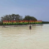 Mengoptimalkan Pengelolaan Wisata Bahari di Pulau Pari, Kepulauan Seribu