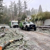 Bencana  Badai Musim Salju di Portland, Oregon