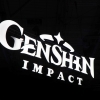 5 Tips Bermain Genshin Impact untuk Pemula