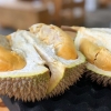 Orang Eropa Masa Lalu Menilai Durian