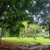Healing di Taman Heulang, Bisa Bikin Stres Hilang