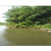 Jejak Terumbu Karang Historis Penyeimbang Kualitas Biota Air Sungai