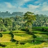 Inilah Konsep Pertanian Sustainable yang Akan Memakmurkan Petani Indonesia