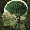Imajinasi Ekologis sebagai Basis Aksi untuk Mewujudkan Masa Depan Lingkungan Suistainable