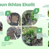 Kebun Ikhlas "Ekolit" Cara Murah Berbagi dan Mengedukasi dari Kebun Rumahan