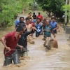 Langkah Teknis Melindungi Hewan Ternak dari Dampak Banjir