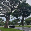 Bahkan, "Sekedar" Taman, Singapore Membangun Kualitas Kesejahtraan Warganya