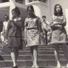 Ricuh Biaya Kuliah di Bandung 1969, Dewan Mahasiswa Melawan