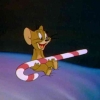 Jejak Warna Kehidupan Dari Tahapan Penting Menjadi Orangtua hingga Sosok Satwa Favorit dalam Tom & Jerry