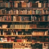 [Catatan Pribadi] Melawan Serangan Rayap di Perpustakaan