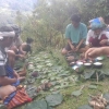 Mangalli Reu, Acara Adat Meminta Kesuburan Rumput di Kecamatan Simbuang