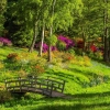 Sebuah Taman di Sisi Hati, Akankah Kau Pahami?