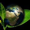 Politik Lingkungan: Memahami Konflik antara Konservasi Alam dan Pembangunan ekonomi
