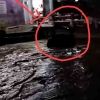 Mobil Terseret Derasnya Arus Sungai di Kota Makale