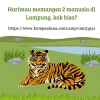 Harimau Memangsa 2 Manusia di Lampung, Kok Bisa?