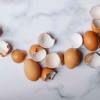 Limbah Kulit Telur dan Manfaatnya untuk Tanaman