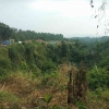 Hutan Madani Narmada, Lahan Konservasi dan Sarana Edukasi di Bibir Tebing