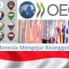 Upaya Indonesia Mengejar Keanggotaan OECD
