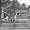 Pajak Desa dalam Oetoesan Hindia 3 November 1916