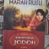 Review Novel Memang Jodoh Karya Marah Rusli