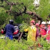 Pohon Tumbang di Kebumen Timpa Mobil akibat Hujan Lebat Disertai Angin Kencang