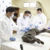 Mumi Kuda Lenskaya: Penemuan Spesies Kuda yang Hidup pada Zaman Es 42.000 Tahun yang Lalu