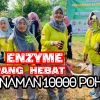Semangat Juang Tak Tertandingi: Komunitas Eco Enzyme Nusantara Sampang Hebat Mengubah Sampah Menjadi Berkah