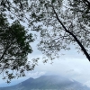 Badai Gunung Sumbing, Akankah Remedial?
