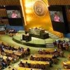 Pasivitas PBB dan OKI dalam Merespons Konflik Palestina dan Israel
