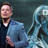 Sulit Dipercaya: Elon Musk Akan Tanam Chip di Otak Manusia dengan Beberapa Uji Coba