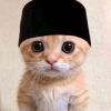 Trend PP Kucing Ramadan Merajai dan Menjadi FYP di TikTok: Merayakan Kekompakan dan Kreativitas di Bulan Ramadan 1445 H